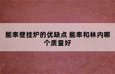 能率壁挂炉的优缺点 能率和林内哪个质量好